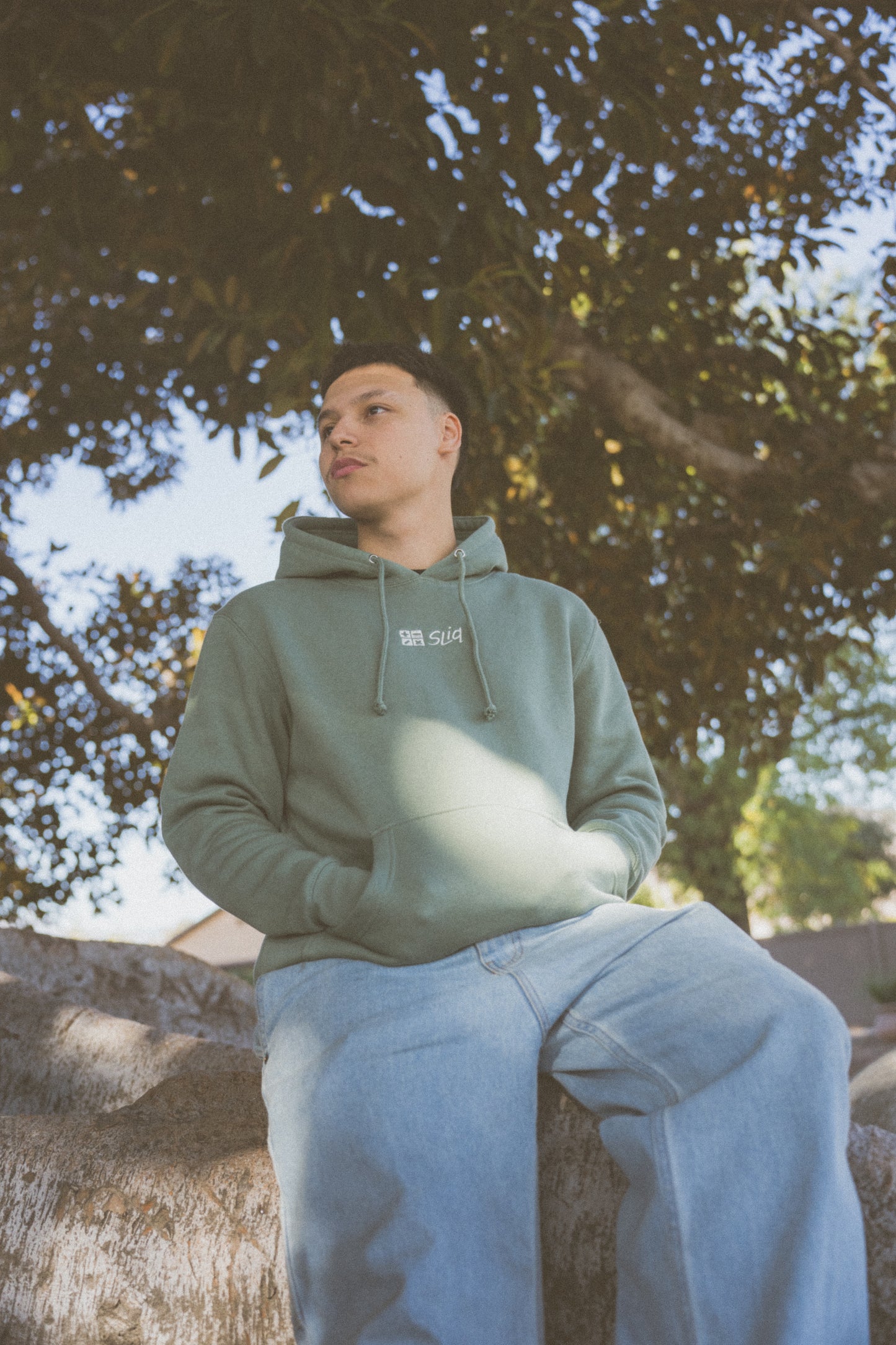 Sliq Icon Hoodie
